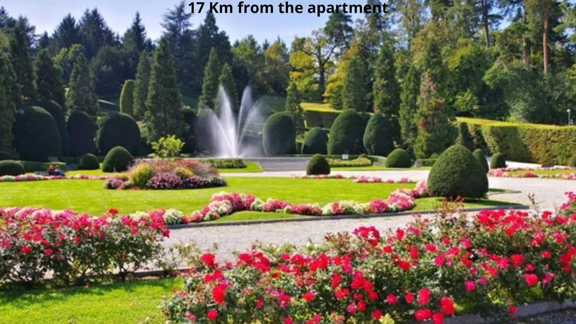 Apartment Green Forest - Ixihome Cadegliano Viconago Italy